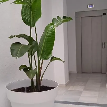 El 2 De Flamenco ático A Apartamento Cádis